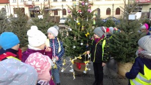 20181203_095629-jak-zmniejszyc-fotke_pl