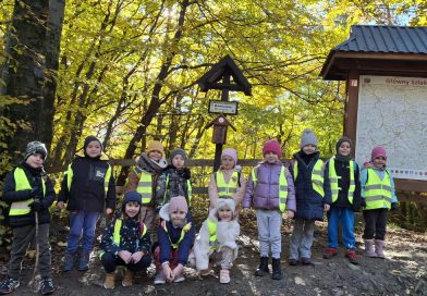 Wieża widokowa – Kamionna